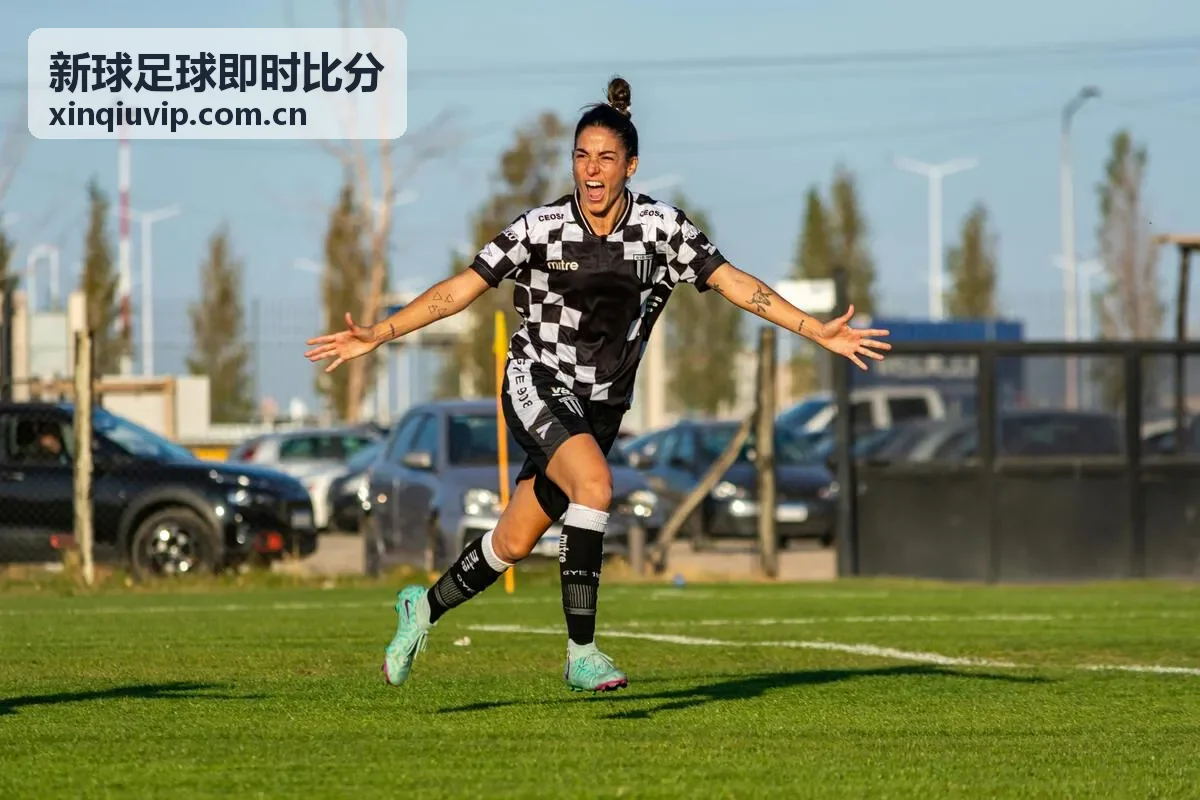 新球足球即时比分 - 意甲战术解读